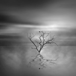 Meet your Posher, Logan